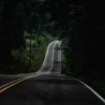 ‘Bigfoot Howls’ Recorded in New York