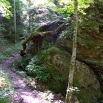 Kentuckian Releases Red-Haired ‘Bigfoot’ Footage