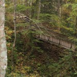 New ‘Bigfoot’ Photographs, Audio Emerges in Kentucky