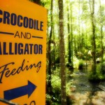 Florida Man: I Saw a Family of Bigfoots