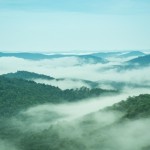 Man Spots ‘Neanderthal’ in North Carolina