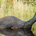 Watch: New Loch Ness Monster Documentary