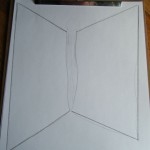 ‘Baby Mothman’ Startles Woman in Illinois