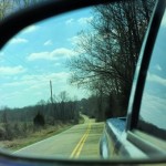 Man Spots Giant ‘Tasmanian Tiger’ in Tennessee