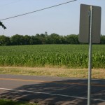 Three People Report ‘White Bigfoot’ in a Corn Field