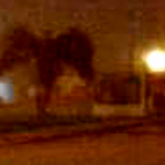 Man Photographs ‘Mothman’ in Arizona