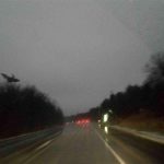 ‘Jersey Devil’ Photographed in Pennsylvania