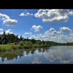 Bigfoot Footage from Florida