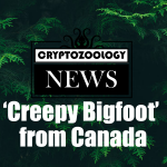 The ‘Creepy Bigfoot’ Photograph from Canada