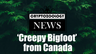 bigfoot video, canada sasquatch, canada bigfoot picture
