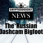 The ‘Russian Dashcam Bigfoot’
