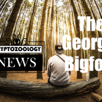 Real or Hoax? The ‘Georgia Bigfoot Footage’