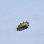 Canadian Photographs ‘UFO Creature’