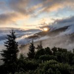 Watch: BFRO Investigator Posts ‘Sasquatch’ Picture: ‘It Might be Authentic’