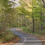 Michigan Woman Claims Dogman Sighting