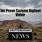 Watch: Real or Hoax? The Provo Canyon Bigfoot Footage