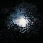 Two Men Spot Bigfoot in Pennsylvania Town