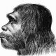 neanderthal sighting