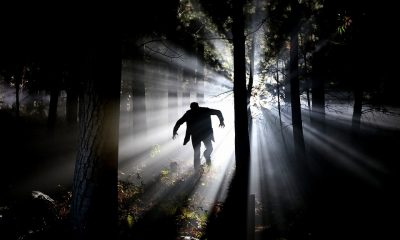 dogman, werewolf, arkansas