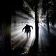 dogman, werewolf, arkansas
