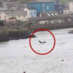 Water Monsters in Britain: Land of the Afanc