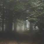 Two Missouri Men Report Seeing Bigfoot Creature