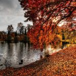 Man Reports Bigfoot Sighting in Wisconsin