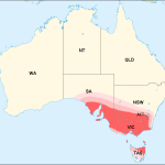 Two People Encounter ‘Alien’ Creature in Australia