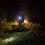 Two People Come Upon ‘Bigfoot Family’ in Washington