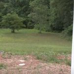 North Carolina Woman Claims Candy-Loving Bigfoot Visits her Frequently