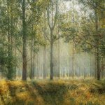 Missouri Family Claims Seeing Bigfoot
