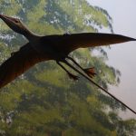 Three People Spot ‘Pterodactyl’ in Arizona