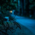 Family Claims White ‘Bigfoot’ in Missouri